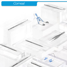 Corneal
